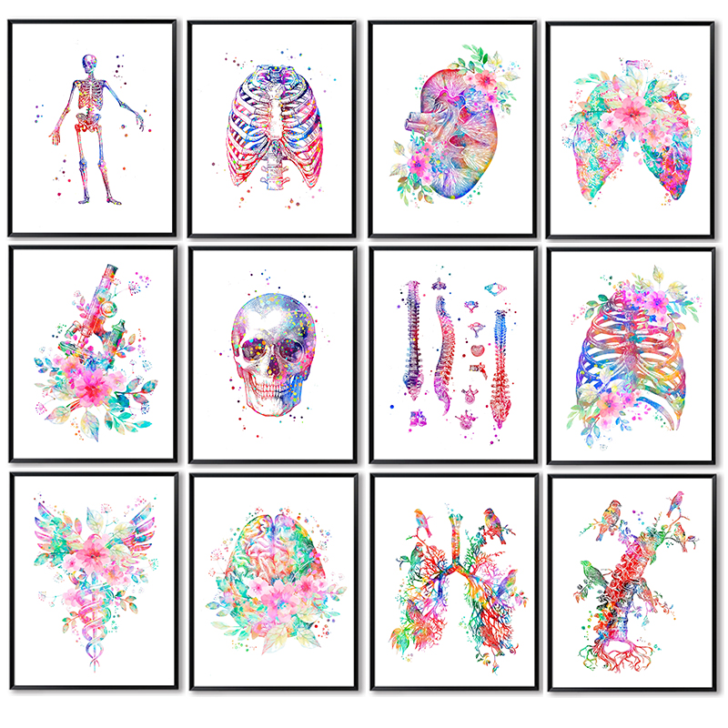 Medical Lab Posters - Anatomy Medical Poster Flower Organ Wall