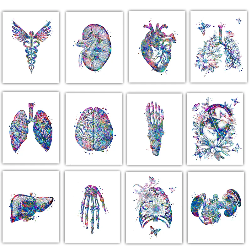 Anatomy Medical Poster Flower  - огляд і ціна Medical Lab Posters