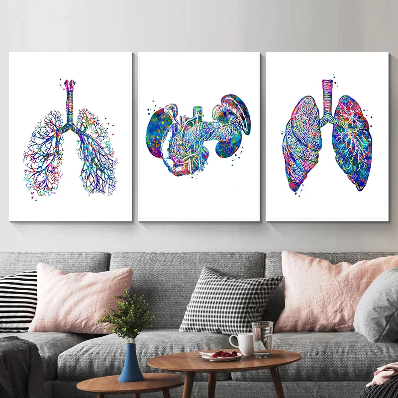 Anatomy Medical Poster Flower  - огляд і ціна Medical Lab Posters