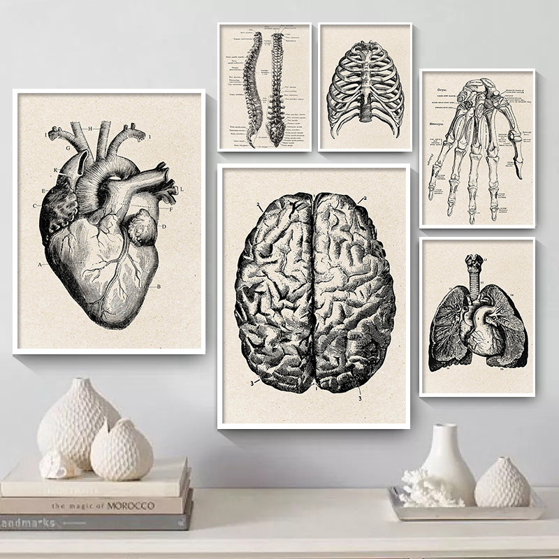 Medical Anatomy Artwork Canvas - огляд і ціна Medical Lab Posters