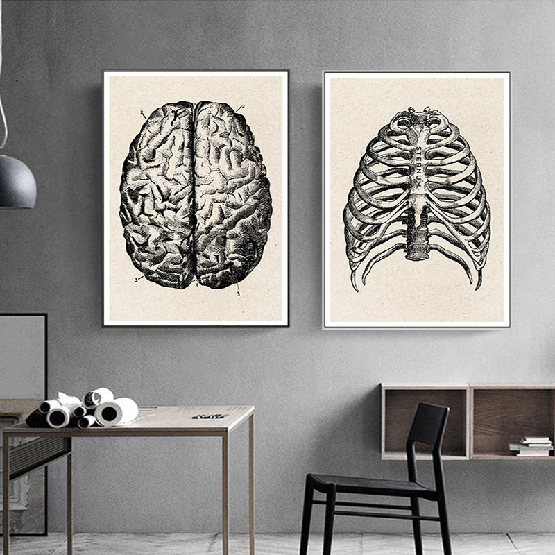 Medical Anatomy Artwork Canvas - огляд і ціна Medical Lab Posters
